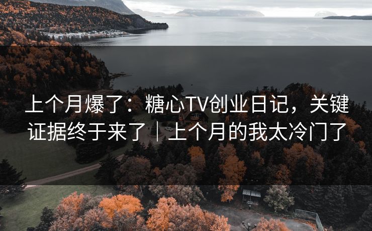 上个月爆了：糖心TV创业日记，关键证据终于来了｜上个月的我太冷门了